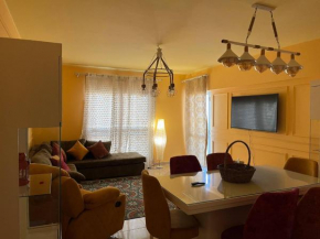 Modern Casual Apartment
